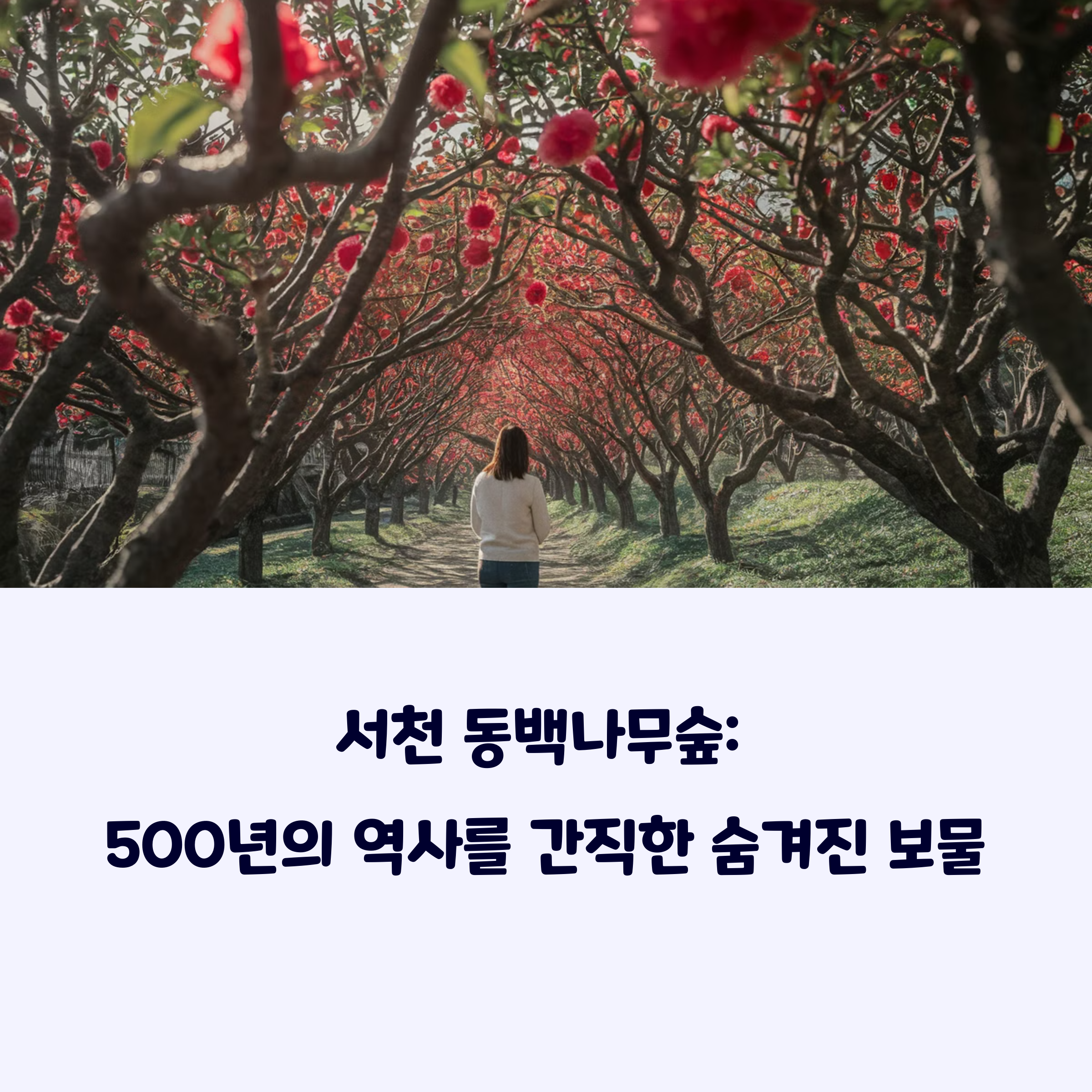 서천동백
