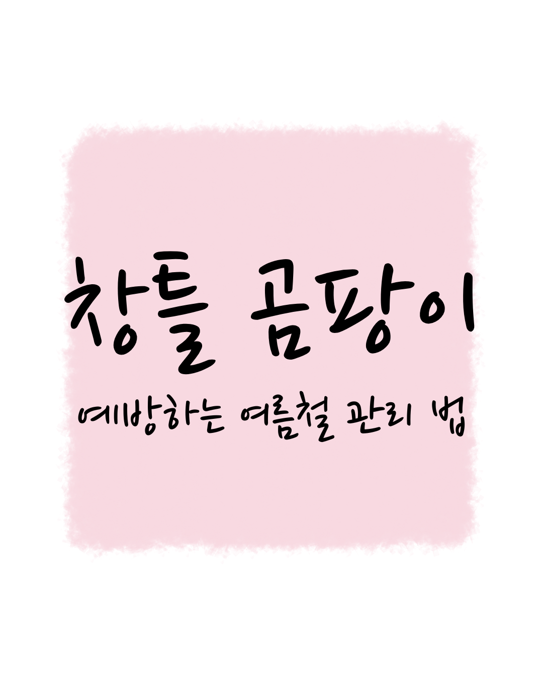 창틀 곰팡이 예방하는 여름철 관리 법: 실제 효과 있는 실천 팁