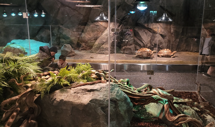 가평 신비동물원