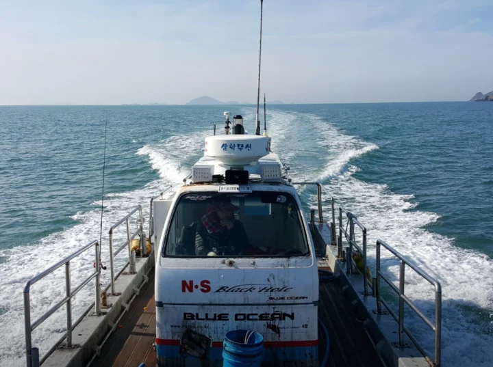 안면도-은행나무-6시내고향-3월18일