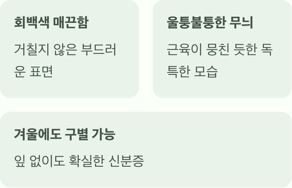 근육질 몸매&amp;#44; 나무껍질