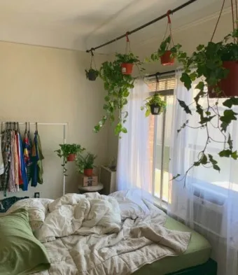 작은 원룸 식물배치 저조도선택 물주기 공간절약 아이디어_5