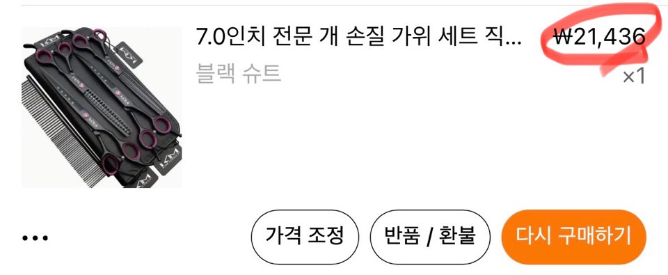 애플워치 스트랩