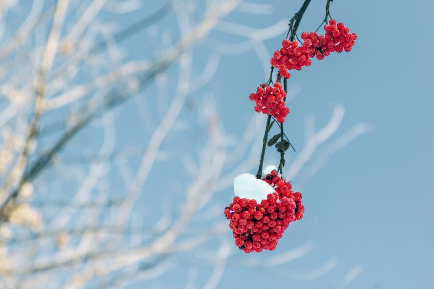 파이썬에서 스노우플레이크 실행하는 방법