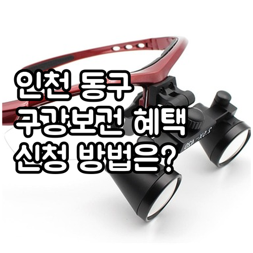 인천 동구 2025 구강보건 서비스:..