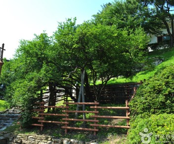 석모도 자연휴양림 숲나들e 국내 여행지 추천 관련 사진