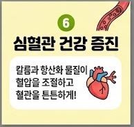 레몬즙 효능