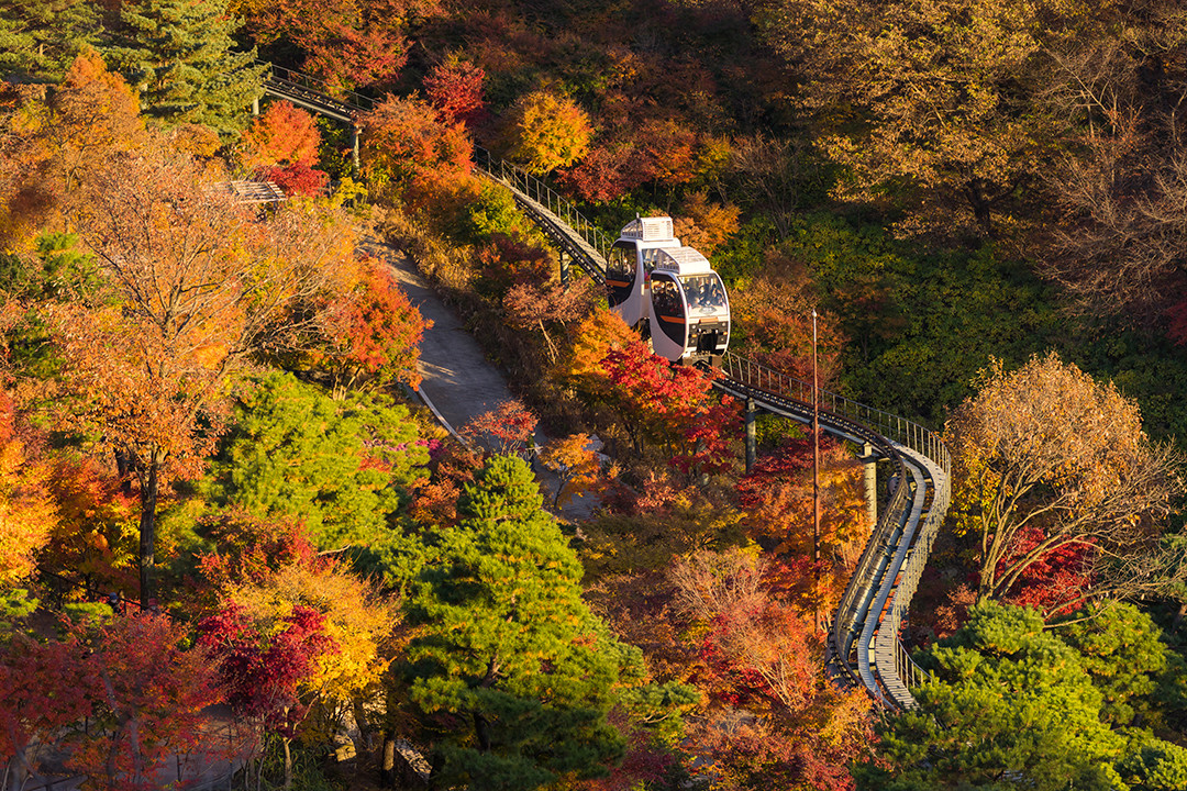 화담숲 예약 방법 모노레일 입장권