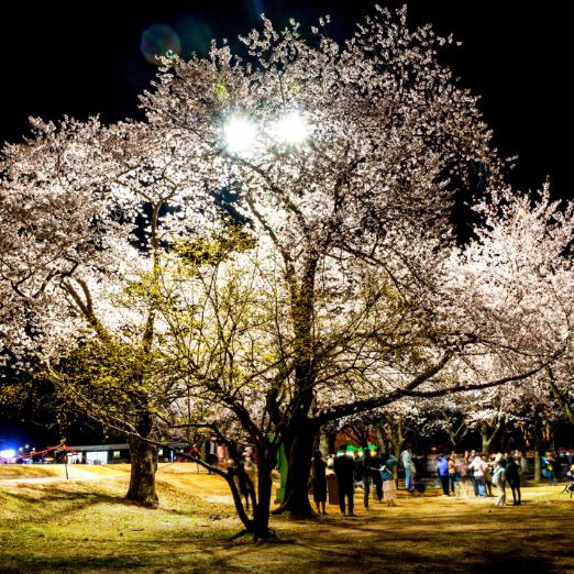 첨성대
