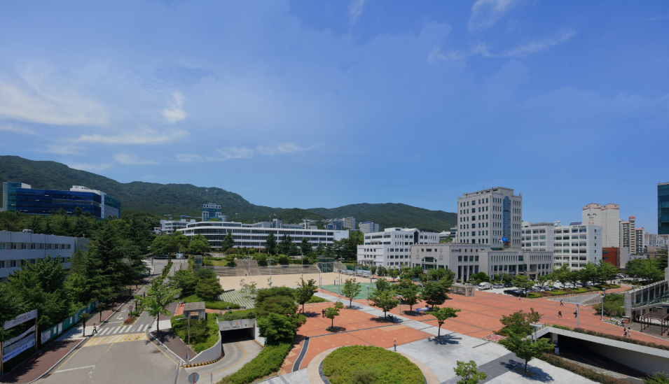 대한민국 국제경영학과 대학교 이미지
