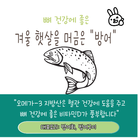 11월 12월 제철음식 추천