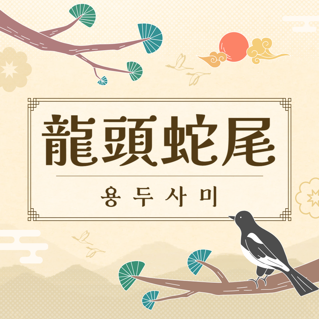 용두사미