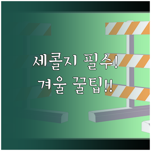 세콜지 3대 지질 성분별 역할과 겨울..