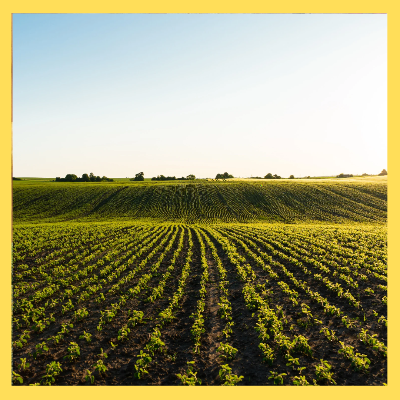 농식품바우처신청방법 