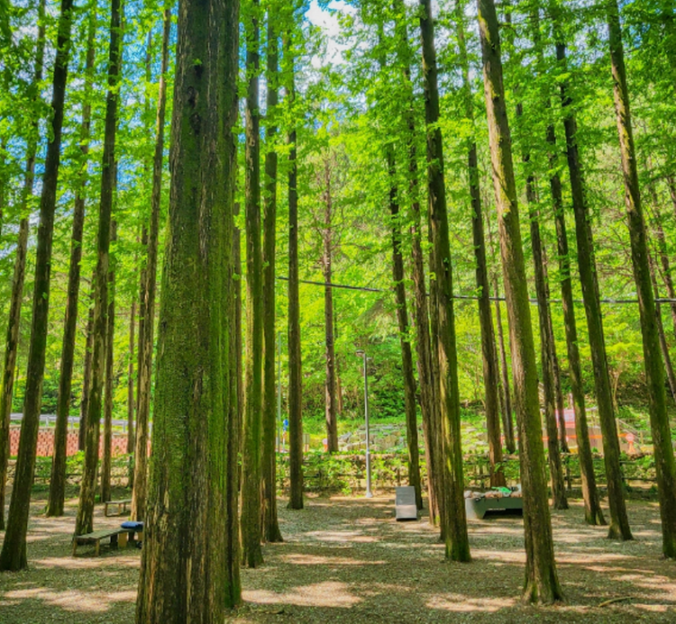 장태산 자연휴양림