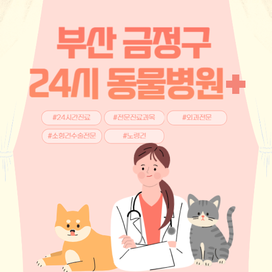부산 금정구 24시 동물병원