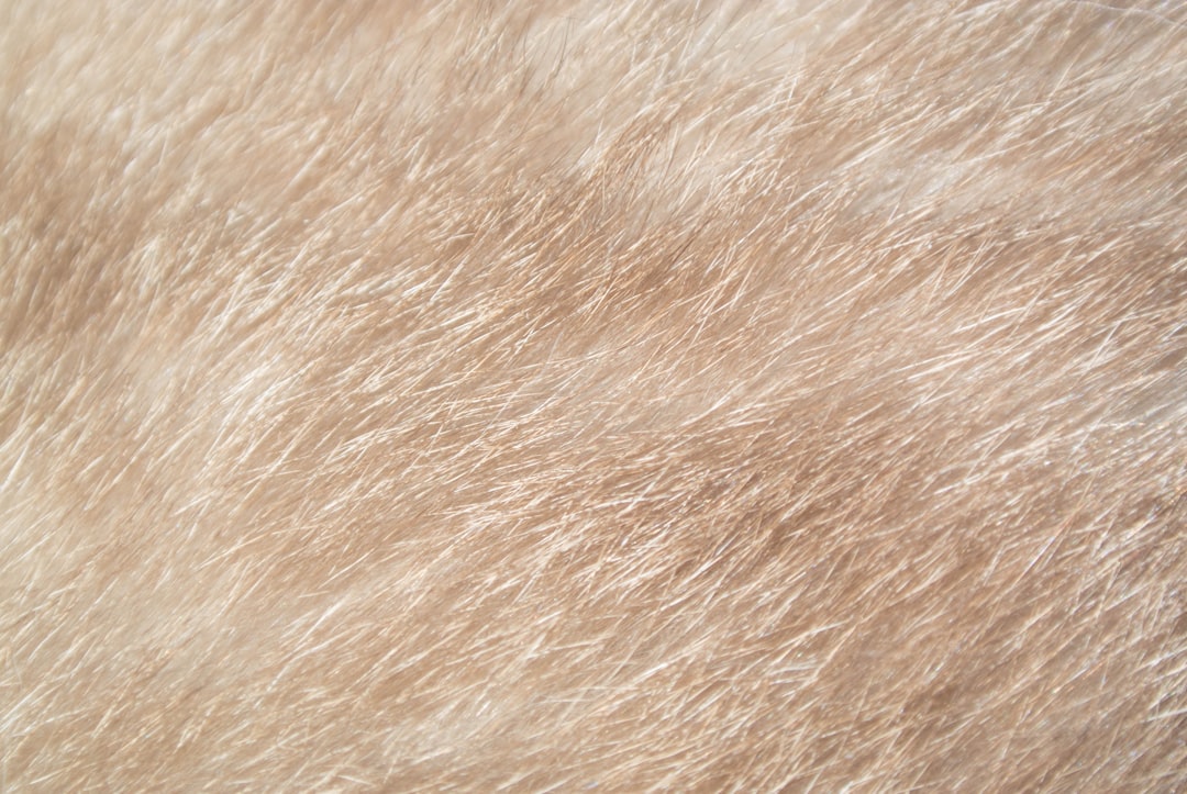 Fur