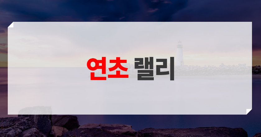연초랠리 연초 랠리 뜻 소개