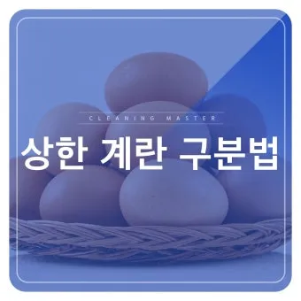 유통기한 구분 소비기한 품질유지기한 보관온도 버리는 기준_15