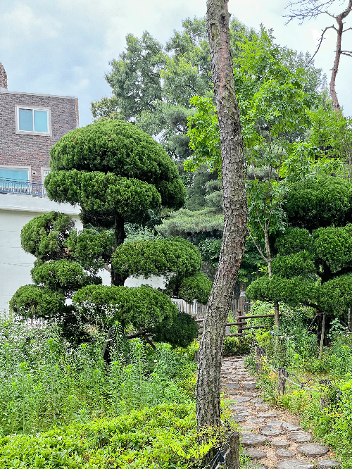 파라스파라서울