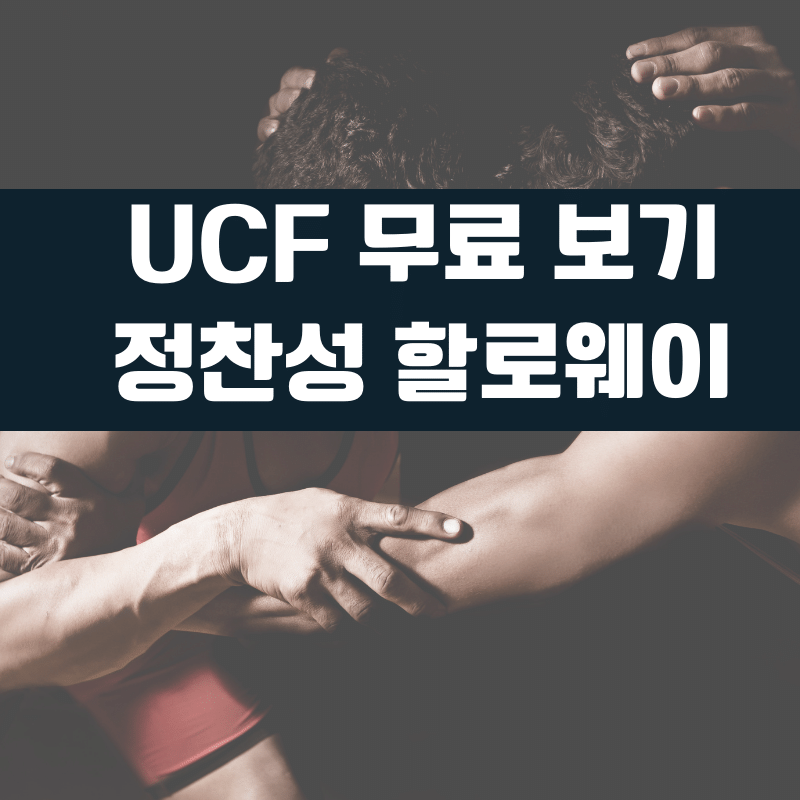 ufc 무료 시청, 정찬성 할로웨이