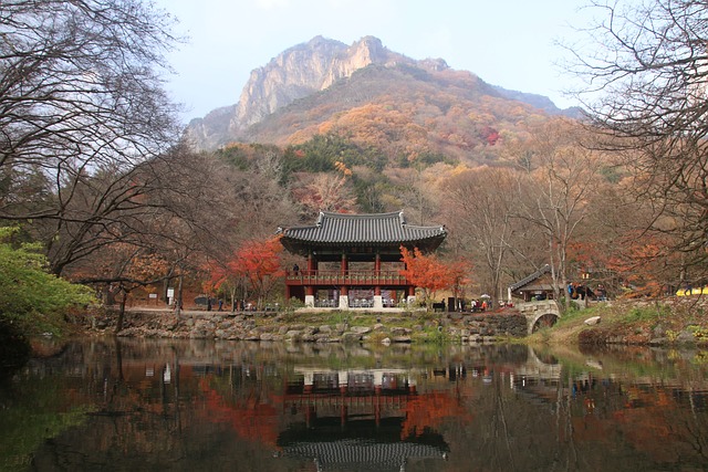 백양사
