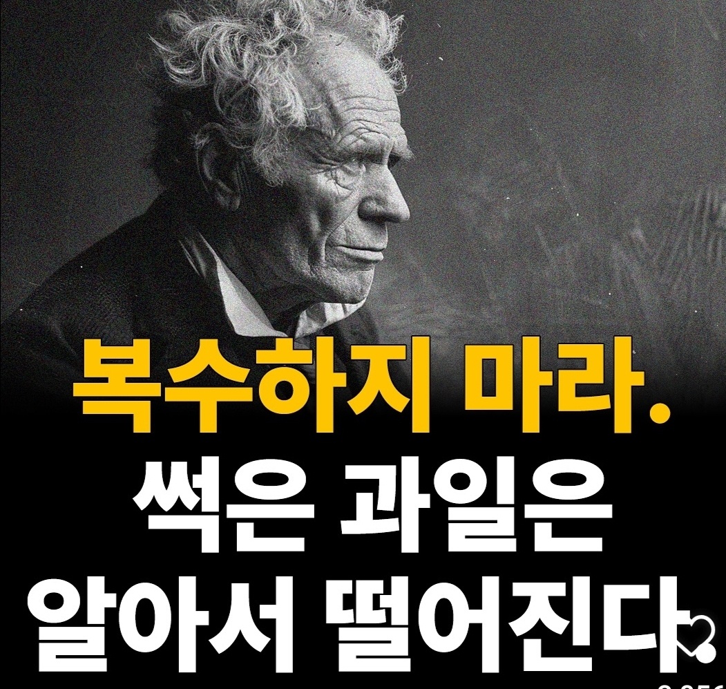 쇼펜하우어 '복수하지 마라'