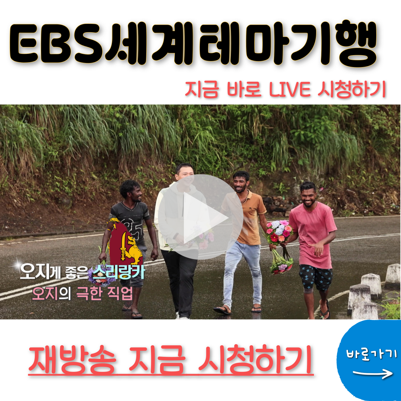 세계테마기행 재방송