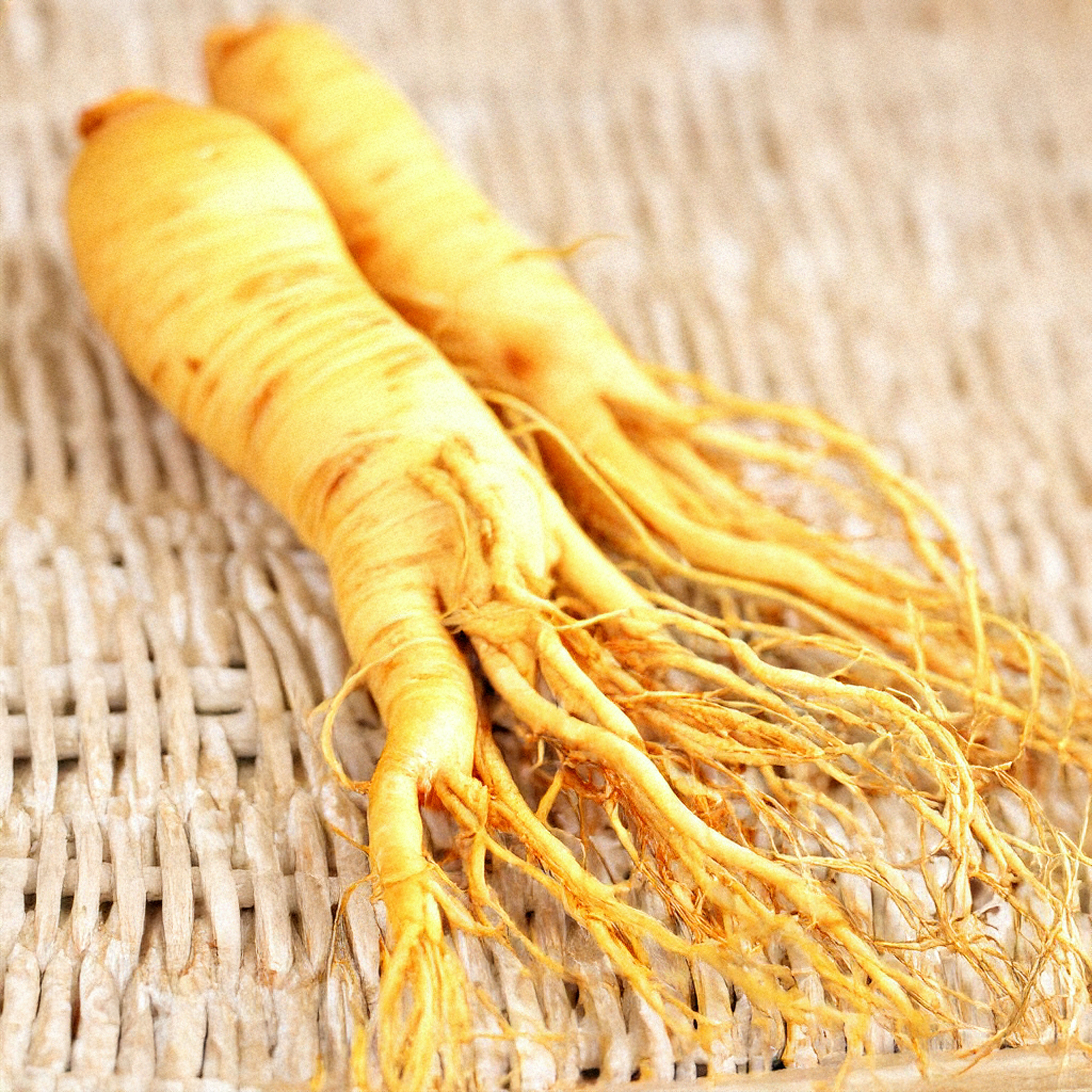 어버이날 선물추천