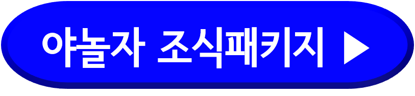 리솜포레스트 할인예약