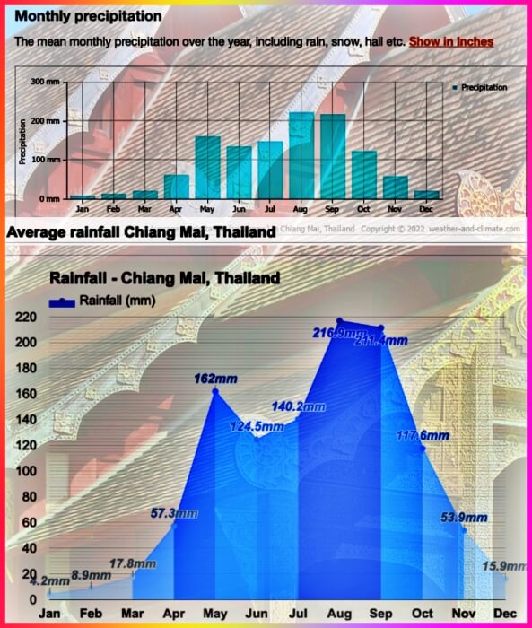 치앙마이 비 정보