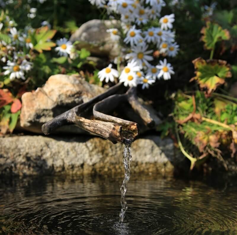 꽃과 약수가 흐르고 있는 사진
