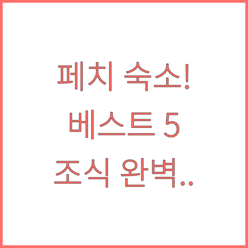 헝가리 페치 여행 숙소 추천 베스트 ..