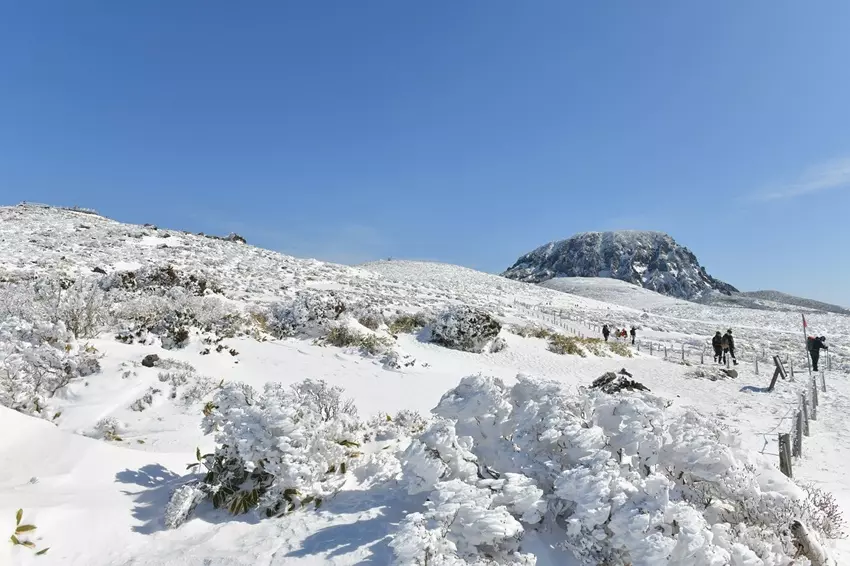 한라산 영실코스