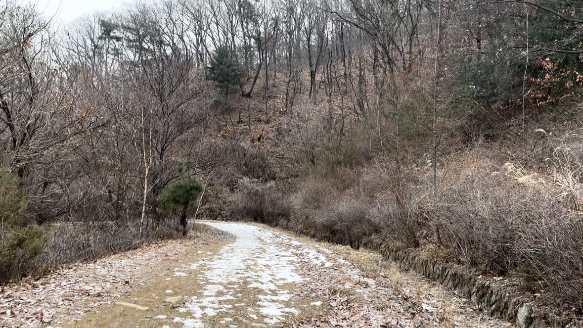 국립아세안자연휴양림