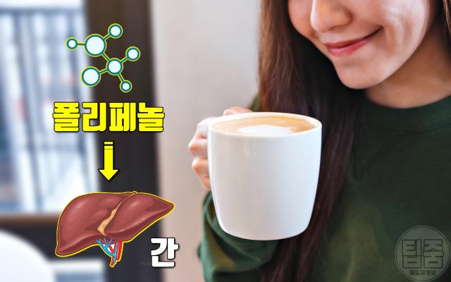 커피 마시면 안되는 사람 커피 하루 권장량