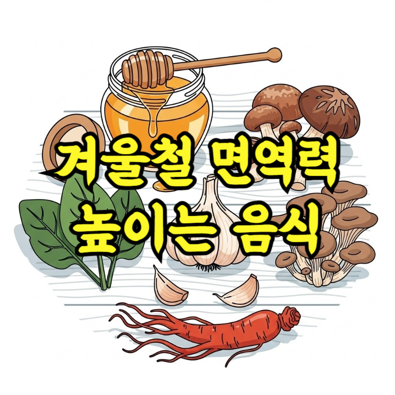 겨울철 면역력 높이는 음식 추천 총정리