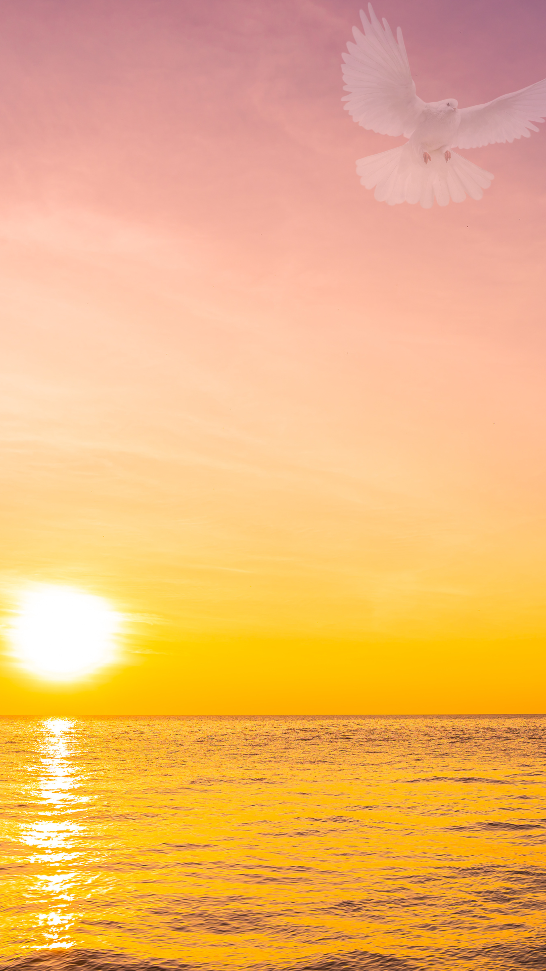 저녁노을 스마트폰 배경화면 이미지 사진