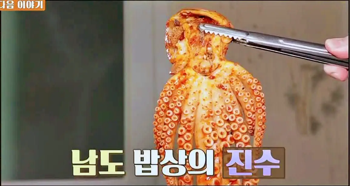 식객 허영만 백반기행 164회 최윤영 편 막걸리식초와 배추를 넣어 데친 낙지초무침, 낙지탕탕이 낙지 보양식 목포 한일시장 맛집 소개