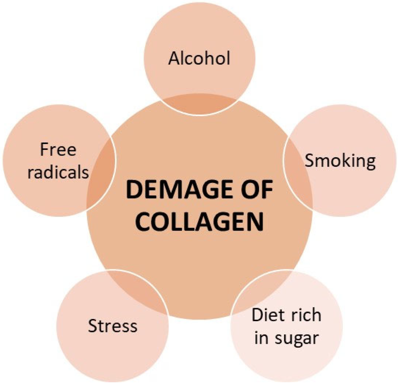 겨울피부관리, 앰플추천, 세럼사용법, 콜라겐세럼, 앰플추천, 콜라겐페이셜케어, 콜라겐스킨케어, 콜라겐크림, 콜라겐보습, 보습스킨케어, 히알루론산, 세라마이드, 겨울철피부장벽, 피부수분충전, 겨울팩추천, 피부건조해결, 겨울스킨케어팁, 피부보습비법, 앰플세럼조합, 피부장벽강화, 겨울피부진정, 피부광채비결, 수분크림추천, 피부탄력회복, 겨울피부트러블, 피부자극완화, 겨울피부영양, 콜라겐주름개선, 콜라겐탄력, 피부회복앰플, 콜라겐피부관리, 콜라겐앰플추천, 겨울피부보호, 피부건강팁, 겨울피부관리법, 피부수분팩, 겨울피부진정팩, 피부보습마스크, 겨울피부케어제품