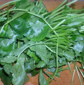 참나물 효능과 부작용 칼로리