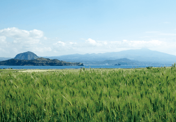 마라도-배시간표