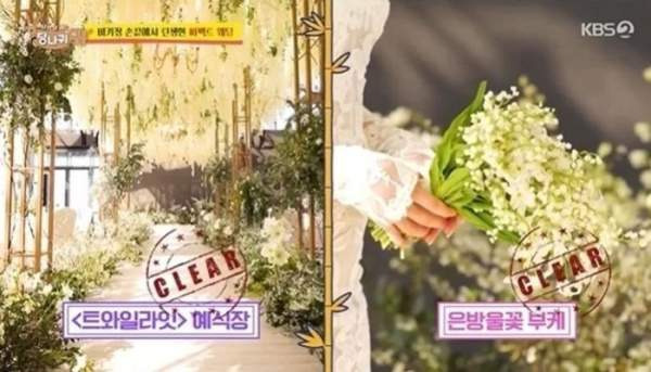 서인영 이혼 사유 남편 나이 프로필 근황 유튜브 잭팟 코 보형물 제거 스토리 총정리