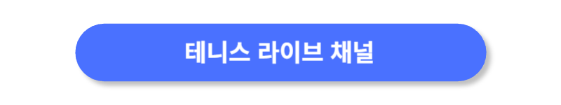버튼