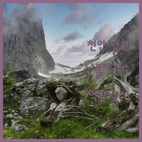 천안 남산 중앙공원 나들이 코스와 역..