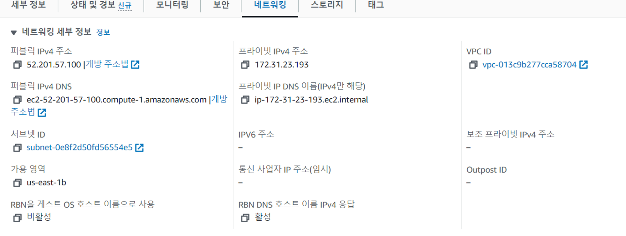 Public dns 설정