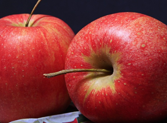 전통의 건강 과일 사과