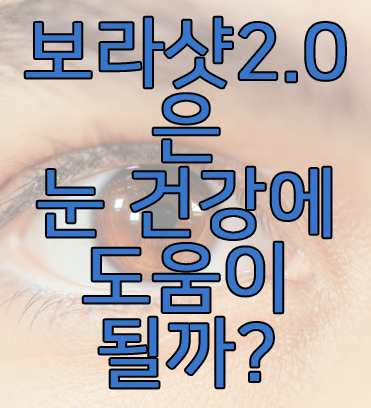 보라샷 2.0에 관한 글 보러 가기 링크 사진
