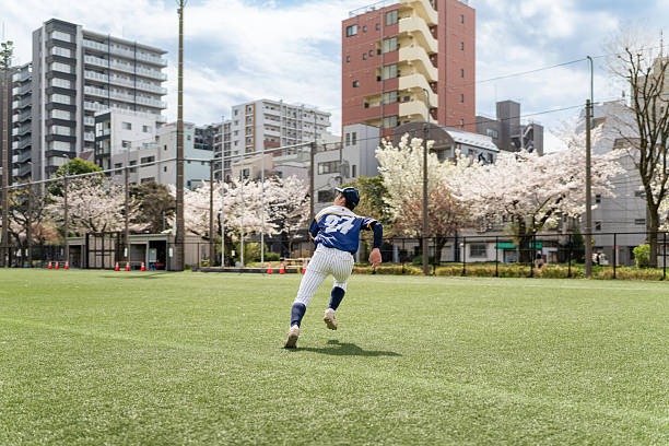 프로야구-중계-실시간-보기