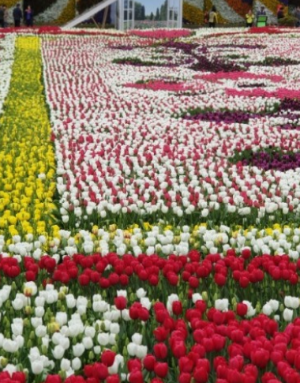 5월에 방문하는 축제 BEST 7